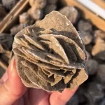 Pouštní růže z přírodního selenitu | minerální kámen krystal