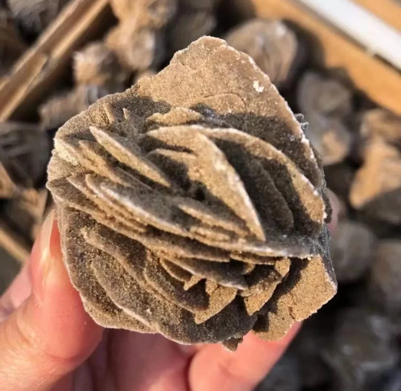 Pouštní růže z přírodního selenitu | minerální kámen krystal