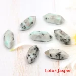 Lotus Jasper