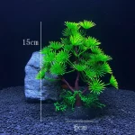 Tmavě zelená borovice