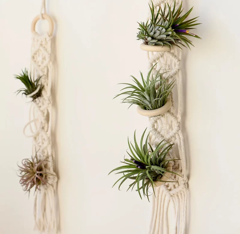 Drhaný závěs na květiny | macrame závěsný držák | boho květináč