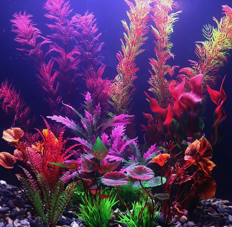 Umělé rostliny do akvária vodní dekorace | akvarijní dekorace | rostliny do akvária