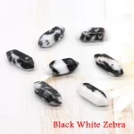 Černá bílá zebra