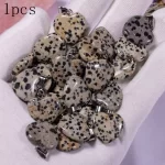 Přírodní Dalmation