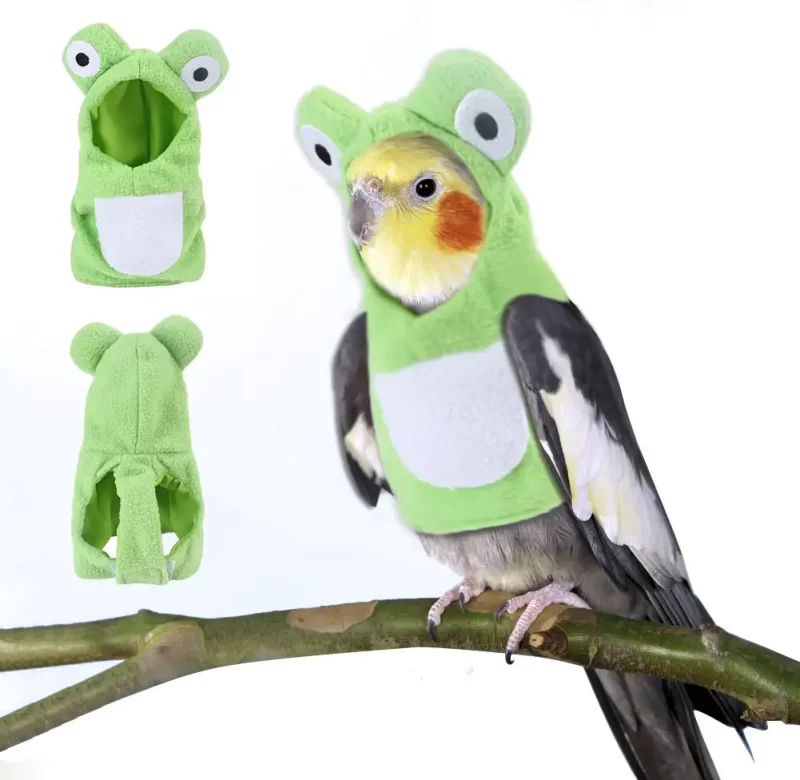 Vtipný zimní kostým pro papoušky | obleček, doplněk