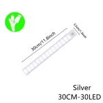 Stříbrná 30 cm