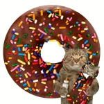 Čokoládové koblihy