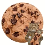 Soubory cookie