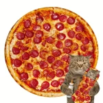 Masová pizza