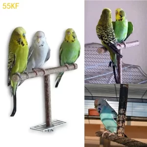 Dřevěné bidýlko pro ptáky s broušením drápků | bidýlko, hračka