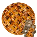 Jablečný koláč