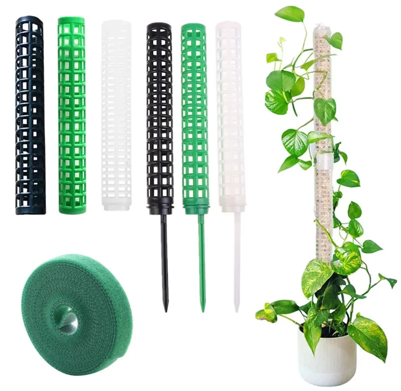 Opora pro popínavé květiny s mechem | opora rostlin, tyč na květiny