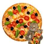 Vegetariánská pizza