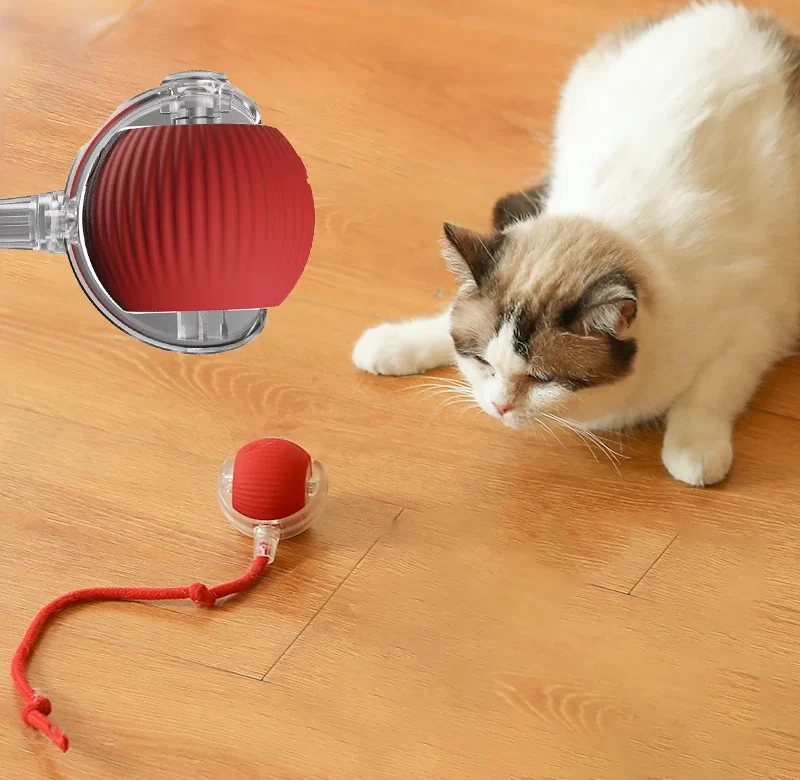 Interaktivní míček pro kočky | doplněk