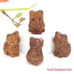 Fosilní sloní kůže
