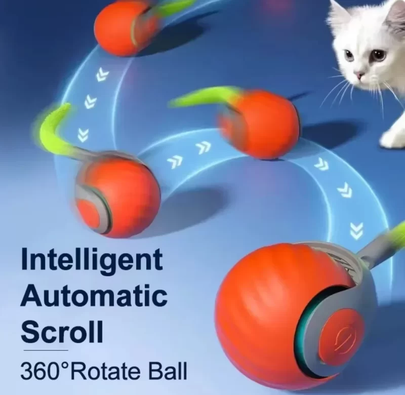 Chytrá interaktivní hračka pro kočky | doplněk 1+1 ks