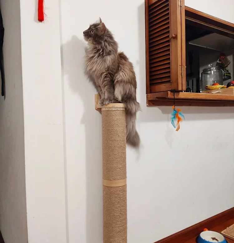 Kočičí škrabadlo na zeď dřevěné | kočičí nábytek