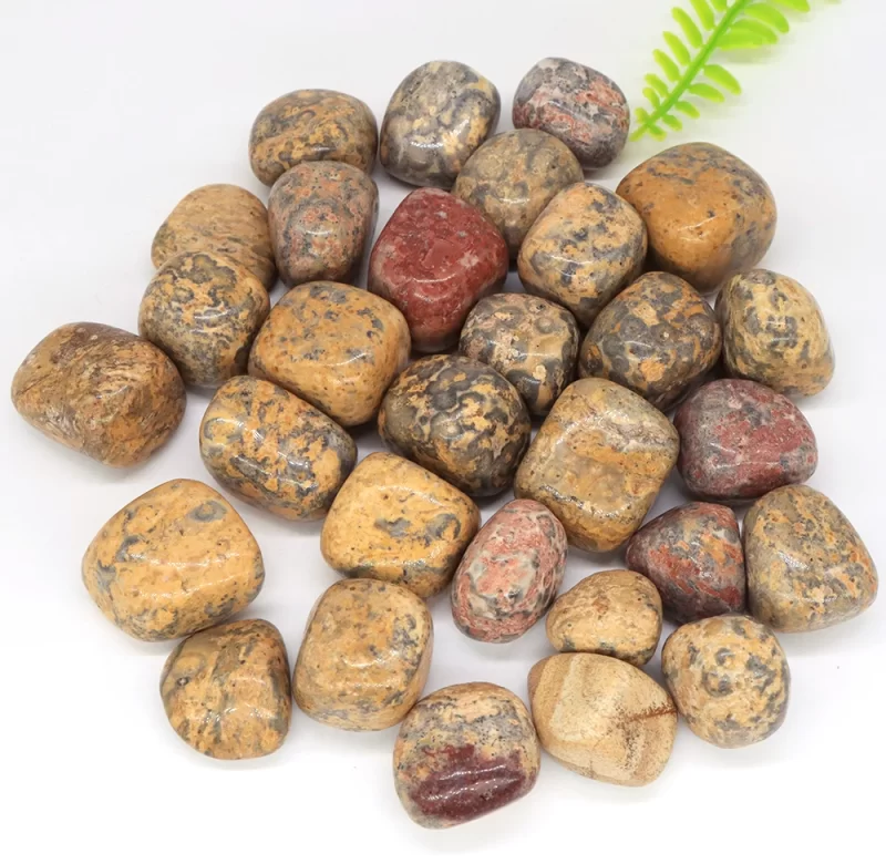 Žlutý leopard jaspis tromlovaný kámen | dekorace