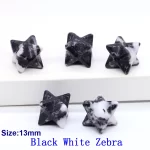 Černá bílá zebra