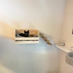 Kočičí škrabadlo houpačka na zeď | odpočívadlo