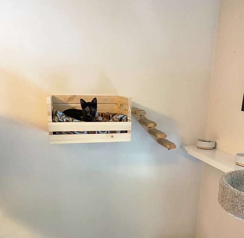 Kočičí škrabadlo houpačka na zeď | odpočívadlo