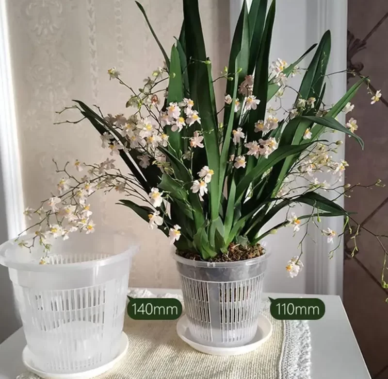Průhledný květináč na orchideje | dekorace