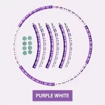 Fialová bílá