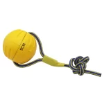 Míč s lanem L