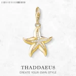 Stříbrný přívěsek hvězdice | šperk