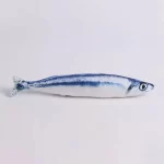 Saury