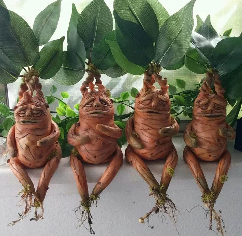 Dekorace pro domov a zahradu | ozdoby