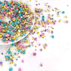 300 ks Sušené květy gypsophila | dekorace