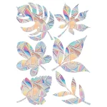 6